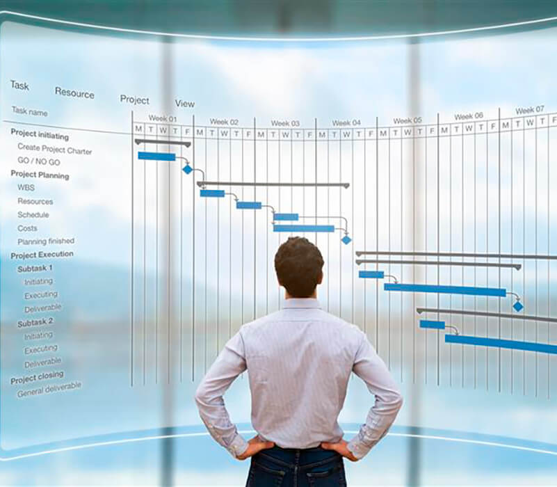 A consultant in fronf of a Gantt chart and planning the next steps.
