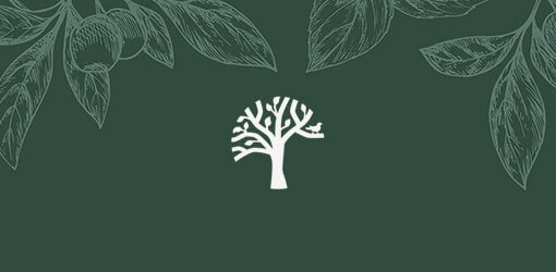 Tree silhouette against green leaves background