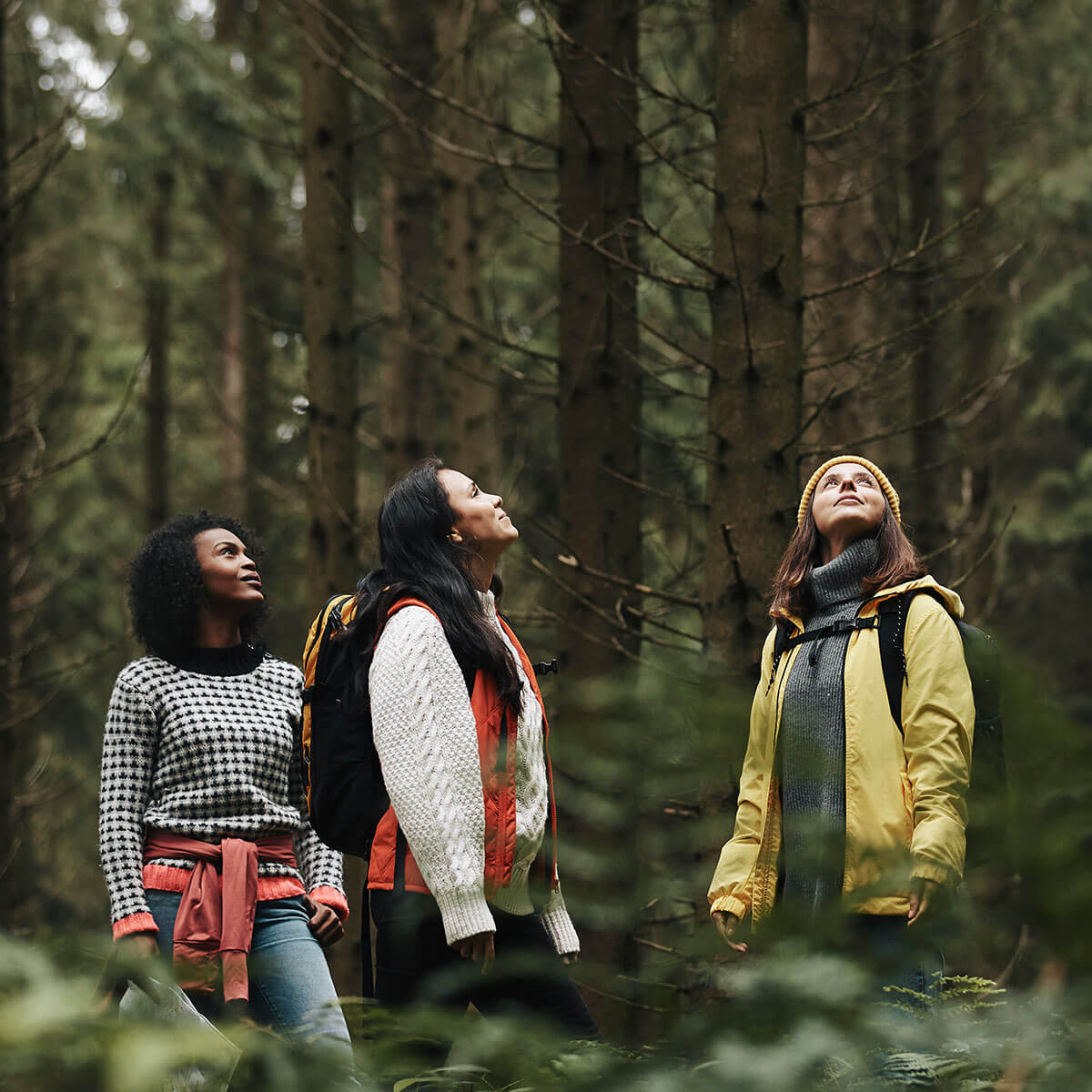 Kolme naista ihastelee ympäröivää metsää