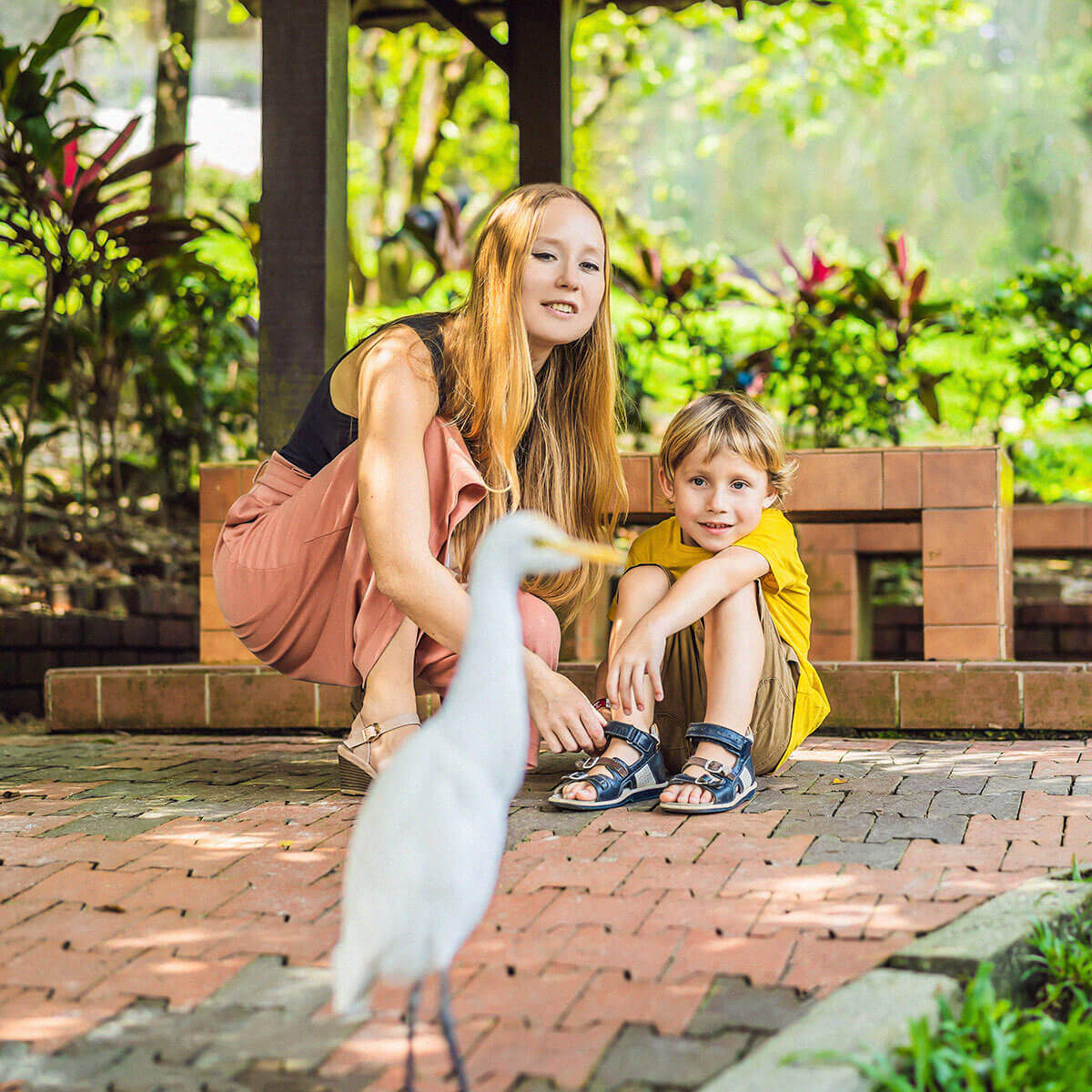 Mother and son vising zoo theme park and observing a white bird