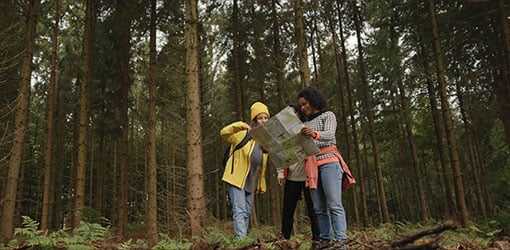 Advisory needed as three hiking women are looking a map in forest