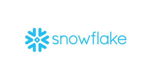 Partner logo Snowflake
