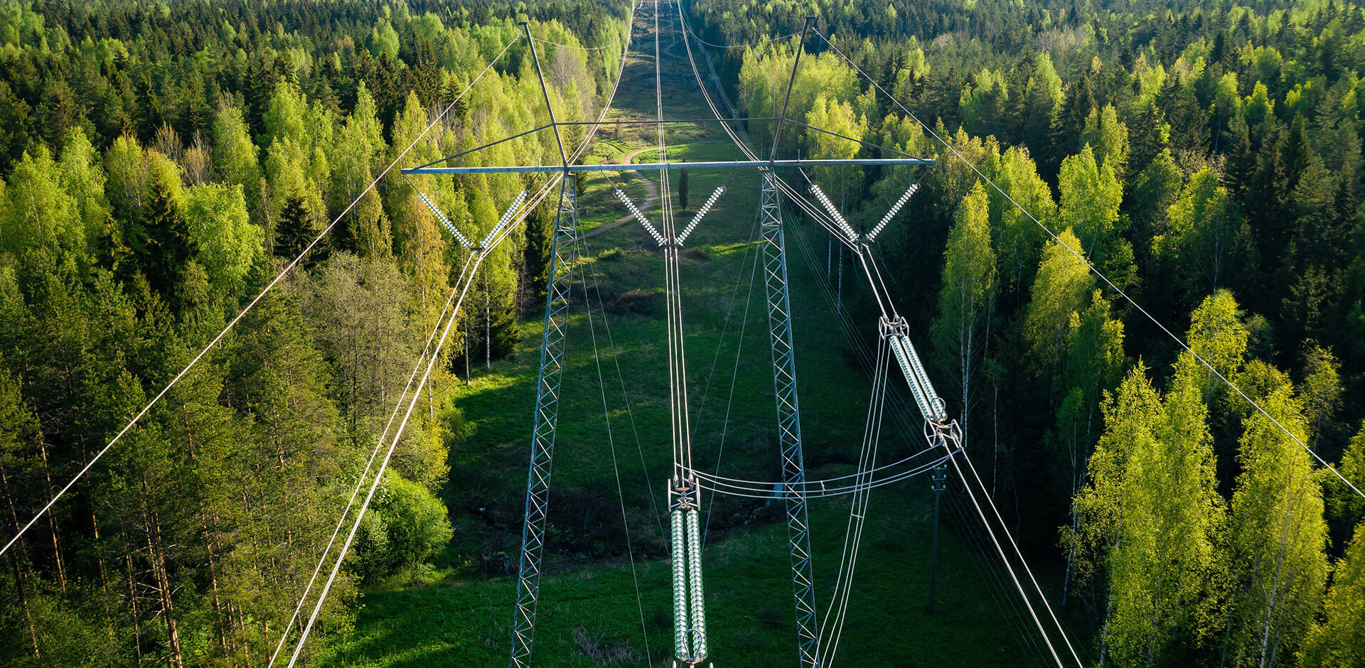 Fingrid's main grid in the middle of a summer forest (photo: Fingrid)