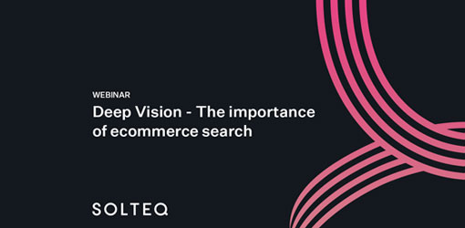 Deep Vision webinaarin kansikuva: The Importance of Ecommerce Search