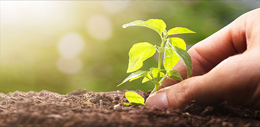 Slider-Turning-ESG-Compliance-into-Business-Benefit-webinar-510x250