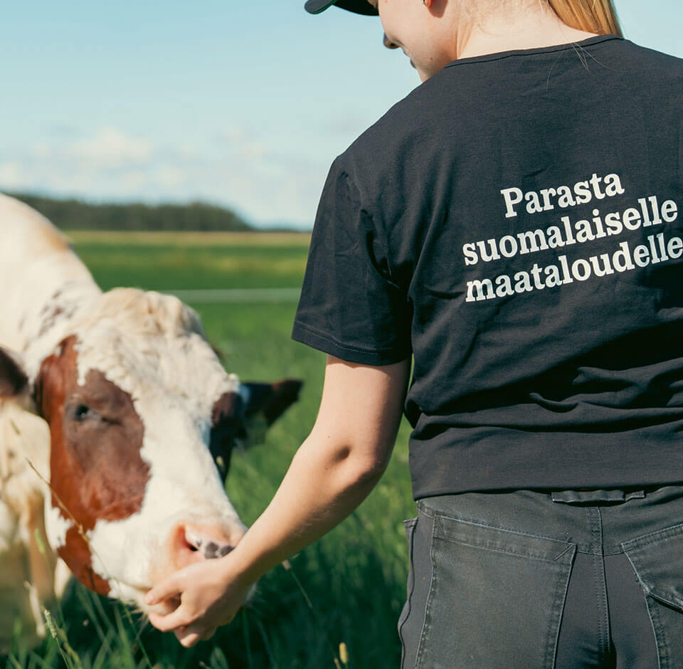 Nainen syöttää lehmää laidunniityllä. Naisella päällään musta lippalakki ja farkut sekä musta t-paita missä lukee selässä 