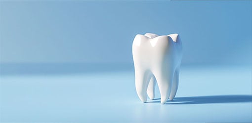 Nærbillede af tandmodel mod blå baggrund