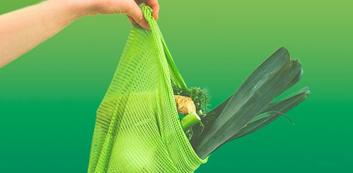 A hand that holds a shopping bag with vegetables in it.