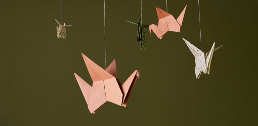 PPG Tikkurila | compact case