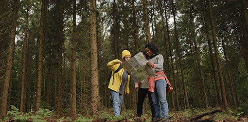 Advisory needed as three hiking women are looking a map in forest 
